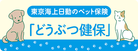 海外旅行保険